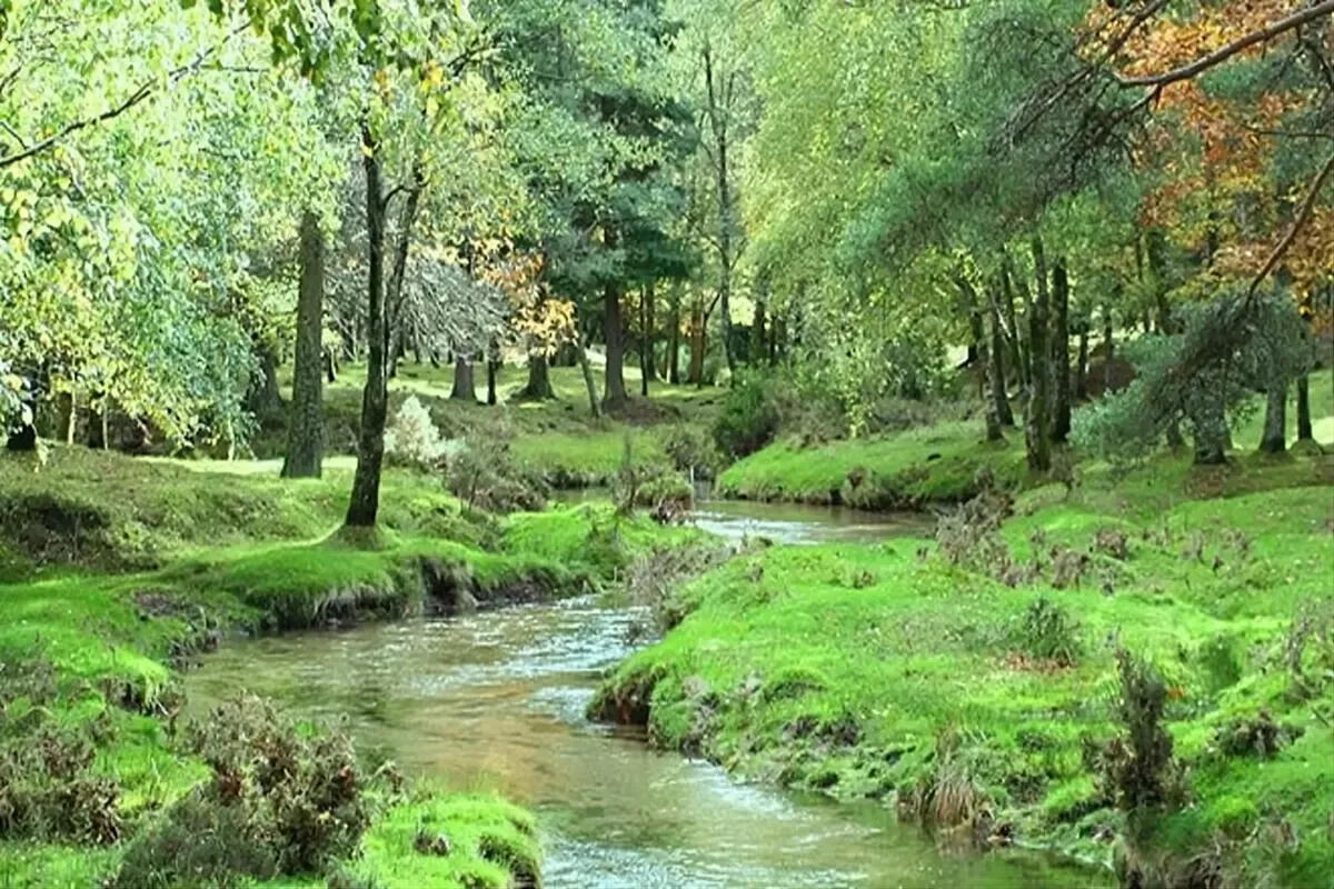 Beleza Natural e Património Cultural: Curiosidades que Tornam Portugal Único!